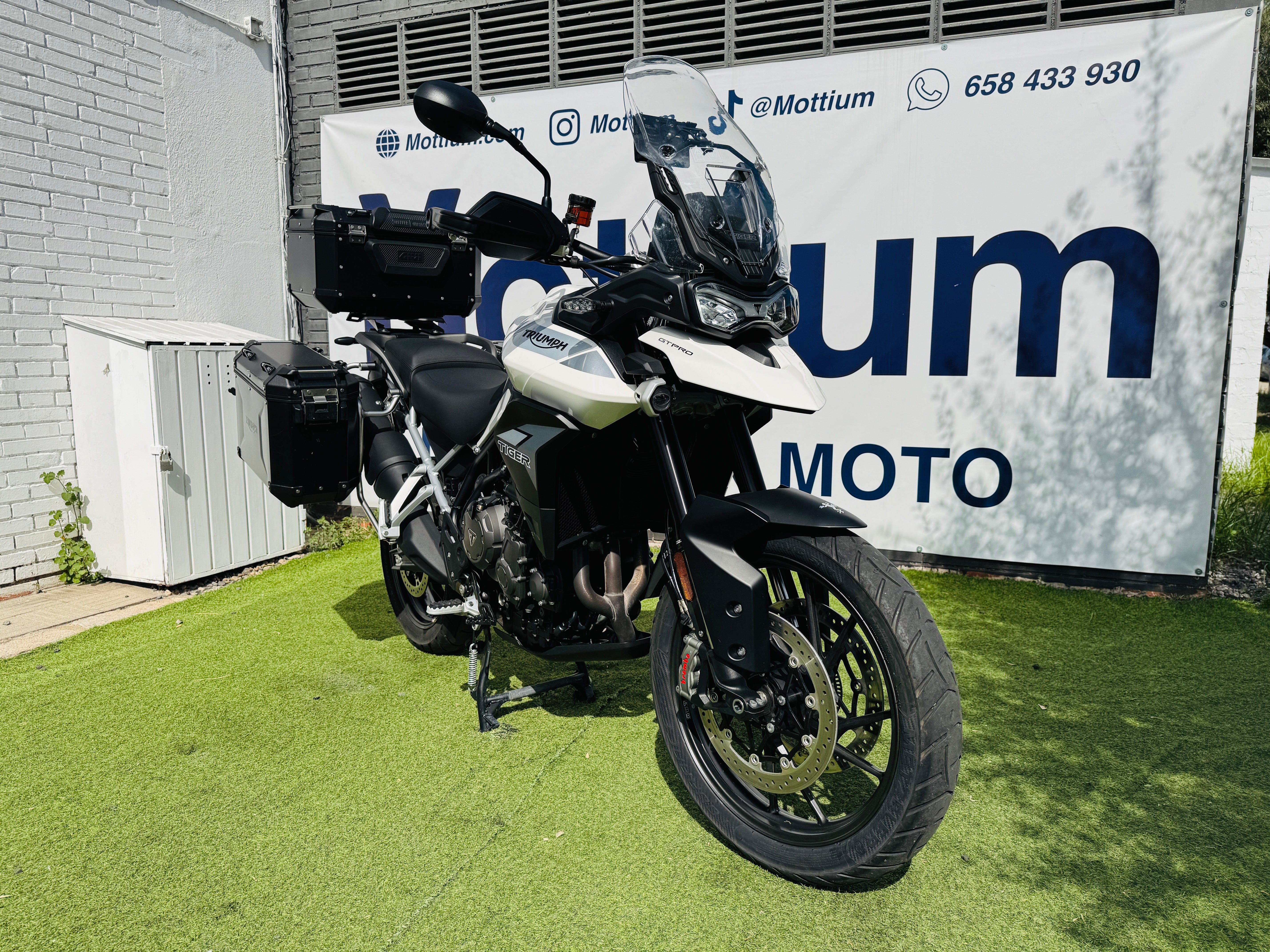 TRIUMPH TIGER 900 GT PRO