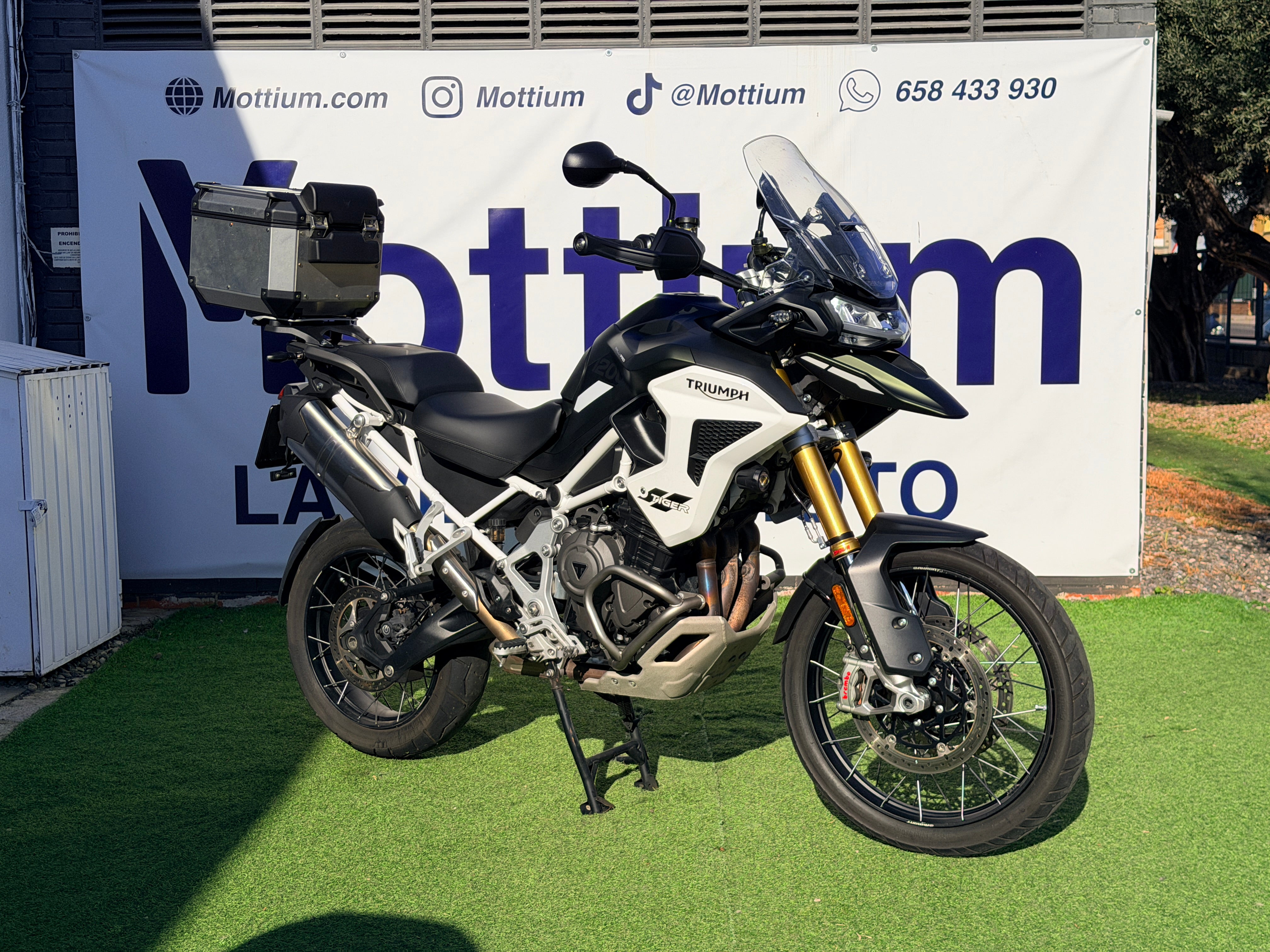 TRIUMPH TIGER 1200 RALLY PRO