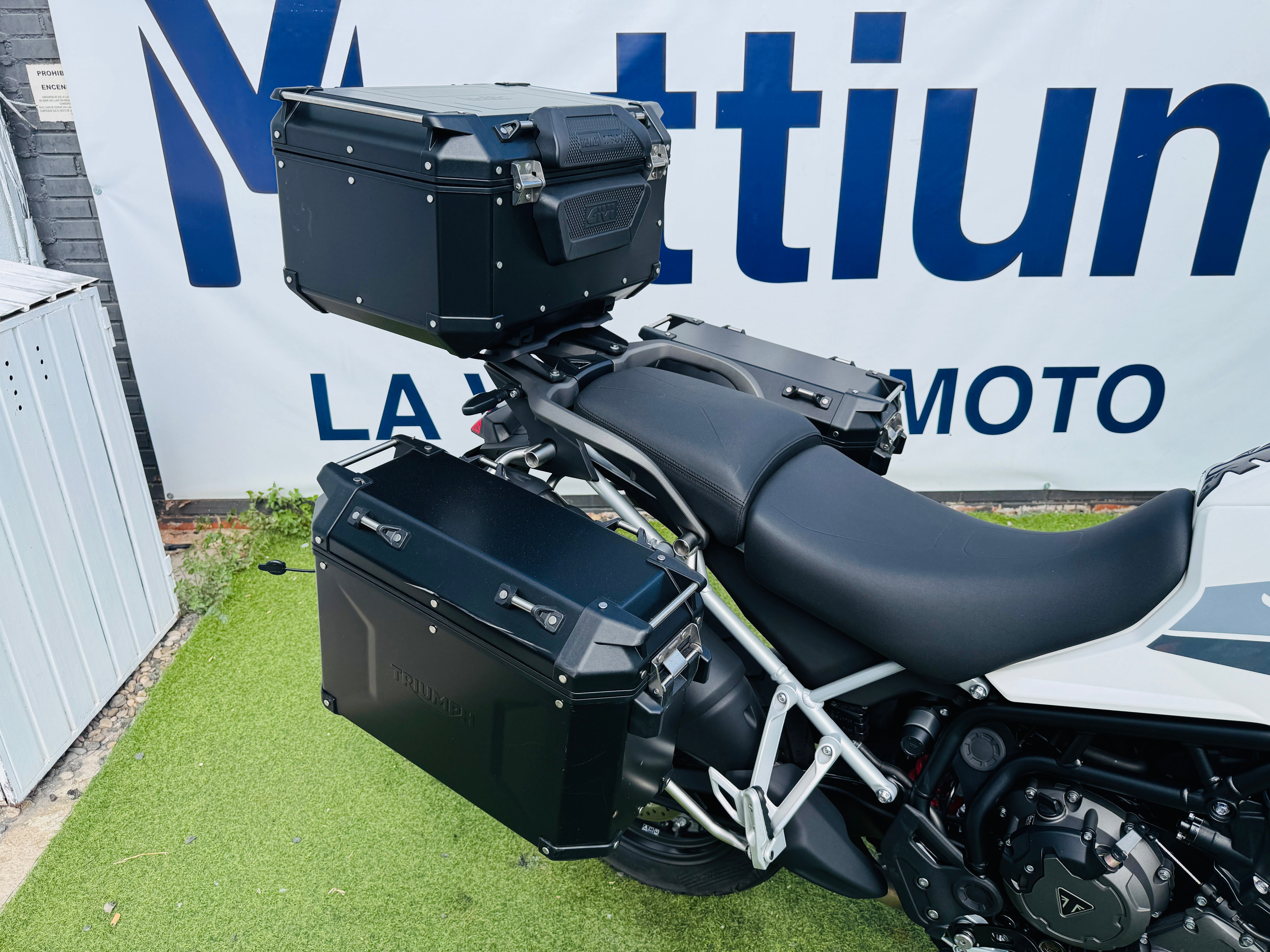 TRIUMPH TIGER 900 GT PRO