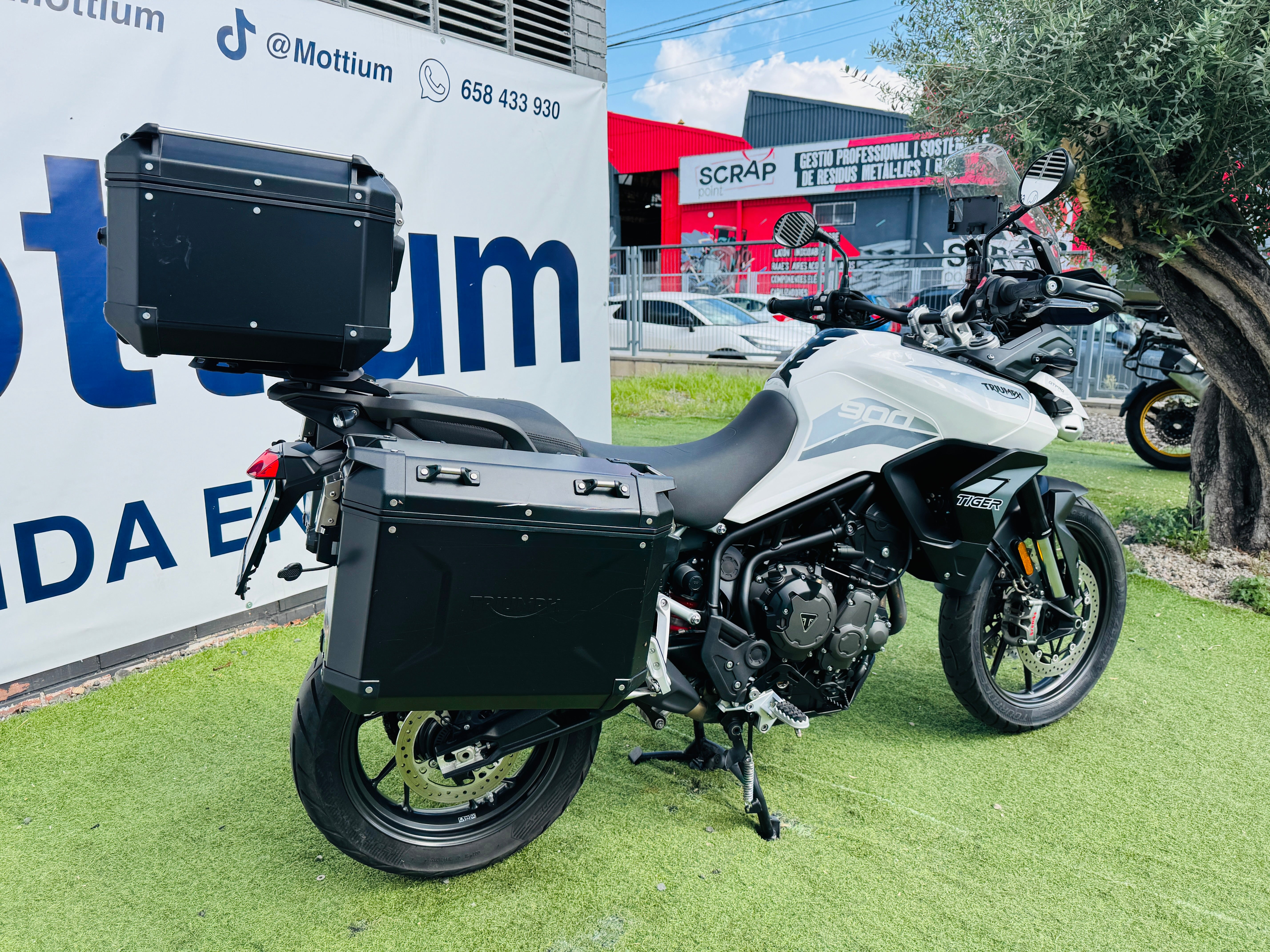 TRIUMPH TIGER 900 GT PRO