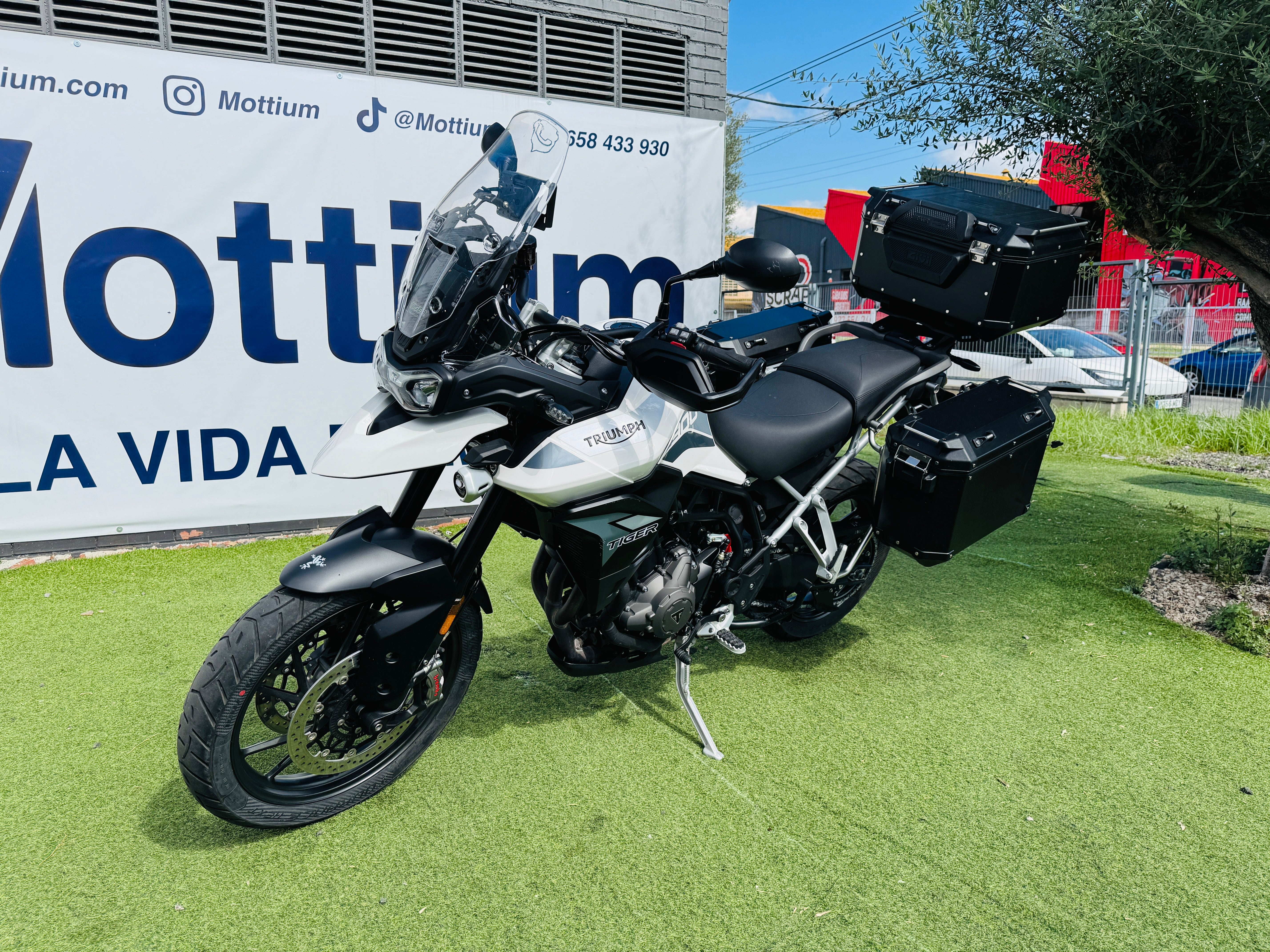 TRIUMPH TIGER 900 GT PRO