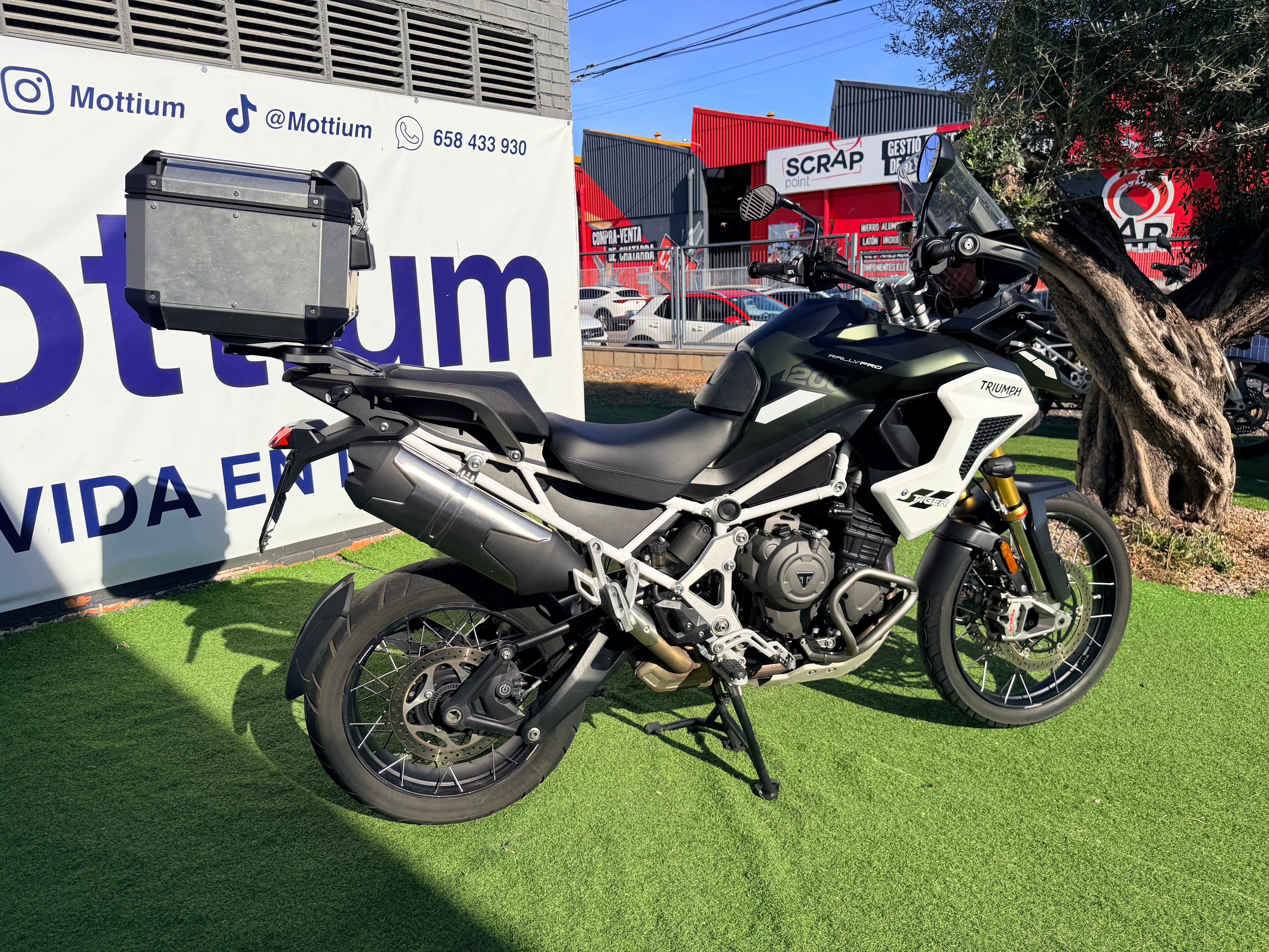 TRIUMPH TIGER 1200 RALLY PRO