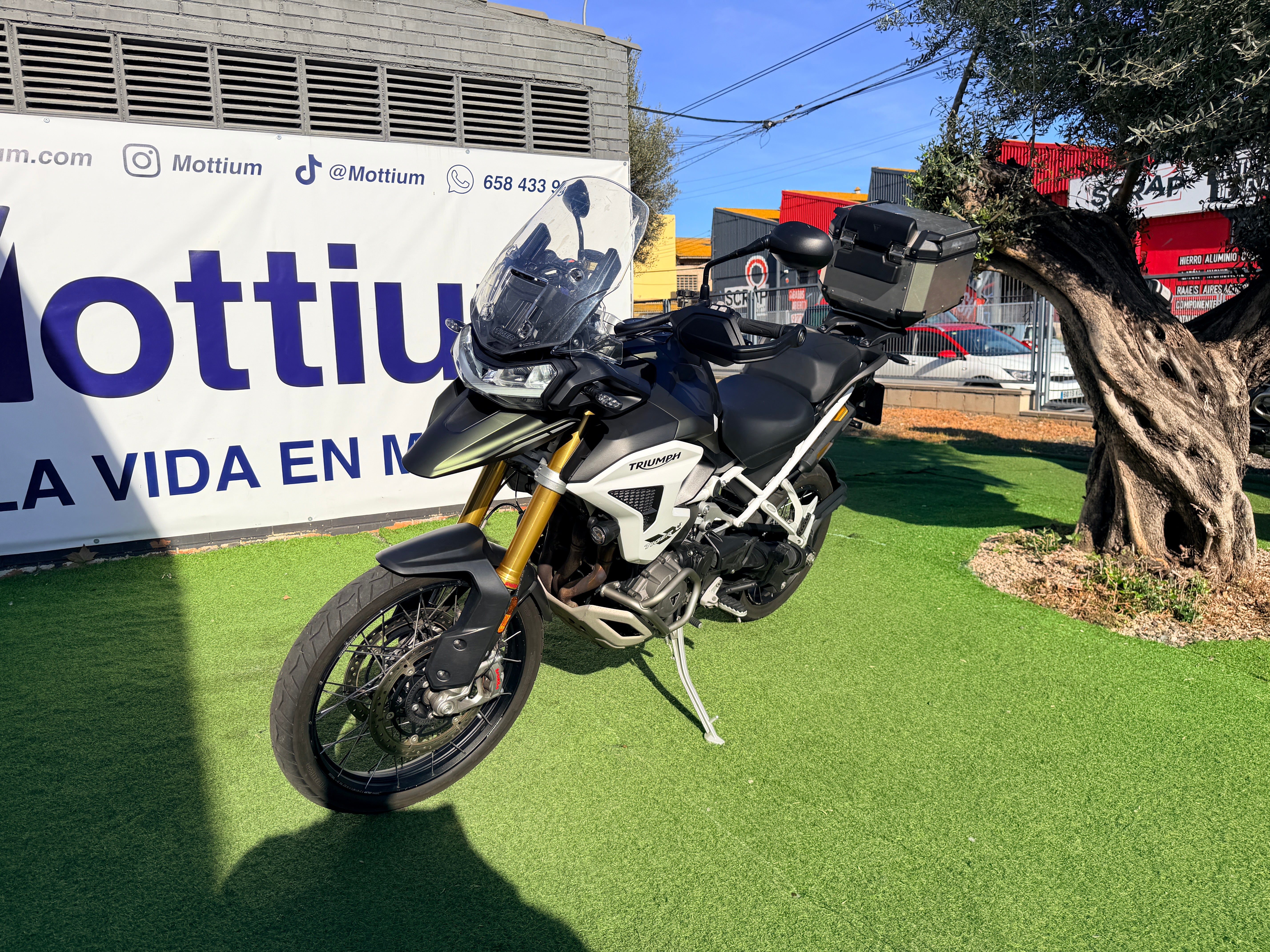 TRIUMPH TIGER 1200 RALLY PRO