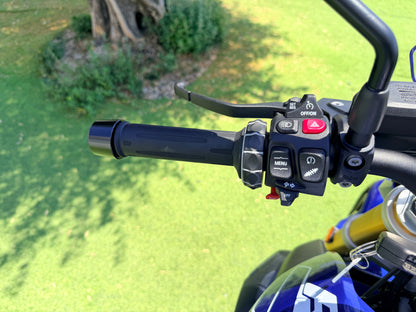 BMW R1250R